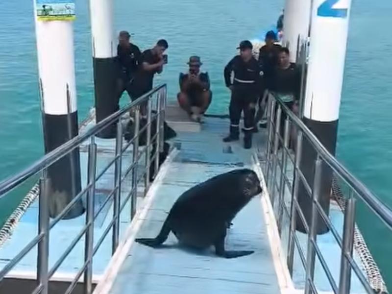 <p>Viaggio alle Galapagos</p>